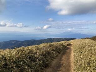 「2つの日本一」を見る登山！  冬晴れの日は「360度絶景」 西伊豆「達磨山」レポ！ 「富士山＆駿河湾」展望ハイキング