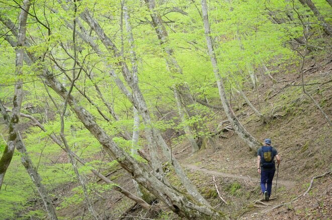 「山の上にビーチ」が出現！  ロープウェイを賢く下山に使う静かでお手軽な穴場ルート“羅漢寺山＆白砂山”への画像010