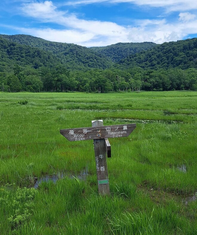 歴も技量もバラバラ！？  でも大丈夫！  ツアーバスで行く「楽ラク尾瀬散歩」は初めての山歩きに最適！！【双葉社 登山部 山行レポート vol.2】の画像006