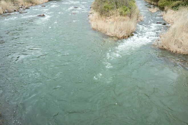 【渓流釣り】雪代を避けて釣り行脚！「初めての道、新しい景色、素晴らしい渓相にウキウキでフライフィッシング」 群馬県｜2026年の画像002
