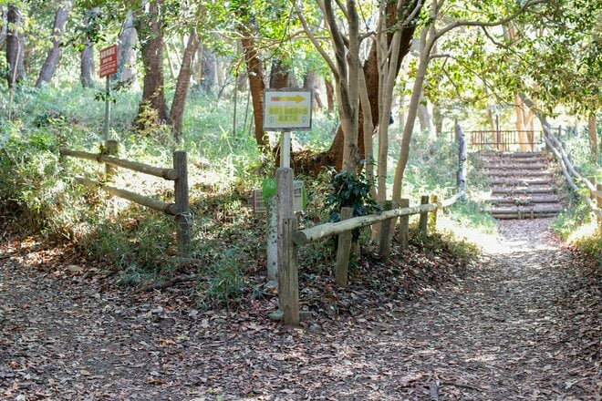 都市部で2時間「駅からハイキング」横浜市金沢区「大丸山」レポ！思わず嬉しくなる“街チカ”とは思えない、豊かな自然＆展望！の画像004