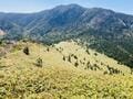 夏空の絶景が広がる稜線歩き「日本百名山・四阿山」＆「花の百名山・根子岳」 北アルプスや浅間山の眺望も素晴らしい「登山レポ」の画像006