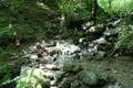 バラエティ豊かな登山コース「棒ノ折山」夏こそ行きたい “涼感” の魅力！ 「木漏れ日の樹林帯・Vの字谷・沢沿い歩き」＆絶景の「山頂広場」レポの画像004