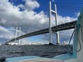 プライベート感ありすぎ！ “フルオーダー可能”な横浜唯一の水上タクシー【SUITAKU】で「波間に揺れる水鳥のバードウォッチング」横浜港を贅沢クルージングの画像014