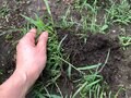 日本列島に豪雨被害をもたらす「線状降水帯」とは？ 山や沢での強雨の危険【山の天気 vol.3】の画像003
