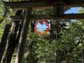 西日本最高峰・日本百名山「石鎚山」で “ほぼ垂直”＆“まさに修験” の鎖場を体験！  登り方は母子夫妻3人それぞれで… 見事登頂！ レポートの画像003