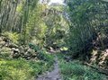 ＜残暑にオススメな“低山の早朝ハイキング”コースPart2＞“涼めるポイント”も豊富な「サクっとモーニングトレイル」私市（きさいち）編【里山アドベンチャー！ソトアソ日和 vol.6】の画像013