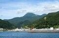 世界自然遺産「知床」でクジラやイルカに会える「ネイチャークルーズ」や「羅臼昆布」のヒレ刈り体験で海の恵みに感動しよう！ 【北海道・羅臼町】の画像004