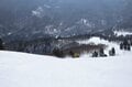 春スキーはやっぱり「ヤケビ」でしょ【焼額山スキー場・長野県 志賀高原】ハイシーズン並みの「グルーミングバーン」は秀逸の出来！の画像002