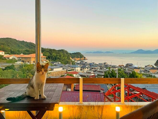 アート、ときどき島猫。直島・犬島・小豆島【「瀬戸内トリエンニャーレな旅（後編）」琉球島猫百景 vol.22〈特別編〉】の画像013