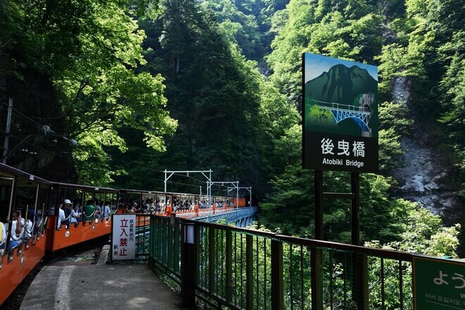 『黒部峡谷トロッコ電車』で新緑のトンネルを潜り抜ける快感は「この時期だけ」の特別空間【富山県黒部市】の画像001