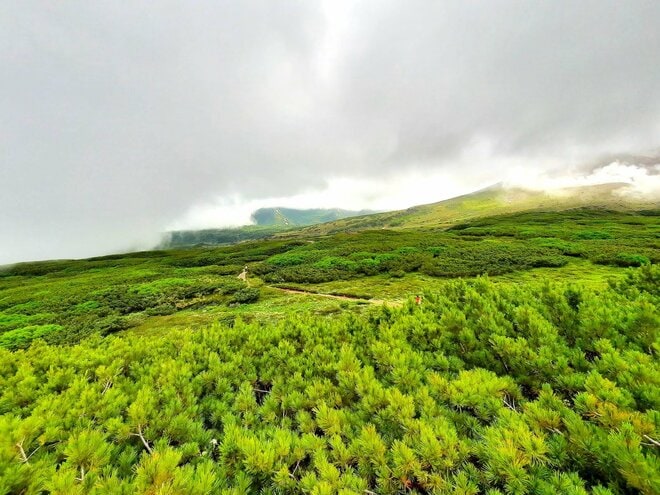 「日本の山に登りたい」と言うイタリア人の相棒もビックリ！  夏の北海道旭岳で実感したオーバーツーリズムの波【ブーツの国の街角で vol.19】の画像008