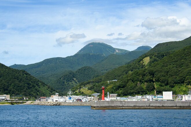 世界自然遺産「知床」でクジラやイルカに会える「ネイチャークルーズ」や「羅臼昆布」のヒレ刈り体験で海の恵みに感動しよう！ 【北海道・羅臼町】の画像004