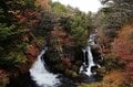 奥日光「秋の絶景」11月まで出現率アップ！  幻想的すぎる「戦場ヶ原の朝霧」＆紅葉が引き立つ名爆「竜頭の滝」現地レポの画像008