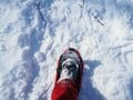 「これぞ冬の道東！」結氷した湖上も歩く！ スノーシュートレッキング【北海道・厳冬の釧路湿原レポート（2）シラルトロ湖】の画像003