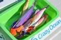 高級食材・極上ターゲットのアオリイカを釣る『ティップラン』とは？  エキスパートに直撃インタビュー！「ロッド、エギの選び方」の画像003