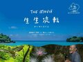 2.22（にゃんにゃんにゃんの日）世界自然遺産、太古から島に息づくキングオブ島猫「ヤママヤー」【琉球島猫百景〈特別編〉沖縄県・西表島】の画像006