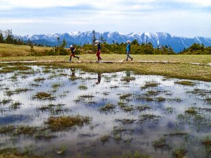 尾瀬の穴場「田代山湿原」可憐なオサバグサに会える天空のトレイルをいく！ 2022年／福島県・栃木県