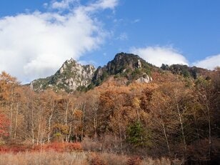 秋登山で狙いたい「アクセス良好」「紅葉の名所」の百名山！ 山梨県・瑞牆山「黄金と緑」強烈コントラストの異次元魅力