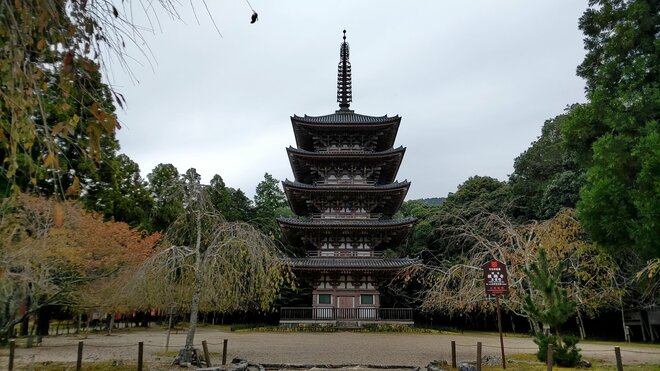 画像・写真：意外と知らない京都「世界遺産でのハイキング」とは！？ 五重塔「醍醐寺」から1時間「上醍醐」豊臣秀吉ゆかり＆滝見コース「実踏レポ」【合計2枚】｜トラベル｜レポート｜BRAVO  MOUNTAIN