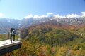 【長野県・白馬岩岳マウンテンリゾート】信州随一の展望台「白馬マウンテンハーバー」から仰ぎ見る“三段紅葉”は一見の価値あり！の画像001