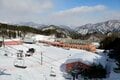 【ノルンみなかみスキー場】首都圏から95分！ そのアクセスは圧倒的！ 今や希少の「ナイター滑走」はここならではの非日常（群馬県みなかみ町）の画像009
