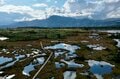 山は誰が守っていくのか？  従来の枠組みを超えた「未来型の登山道管理」へ【100年先までつなぐ、大雪山の自然と登山道 vol.3】の画像011