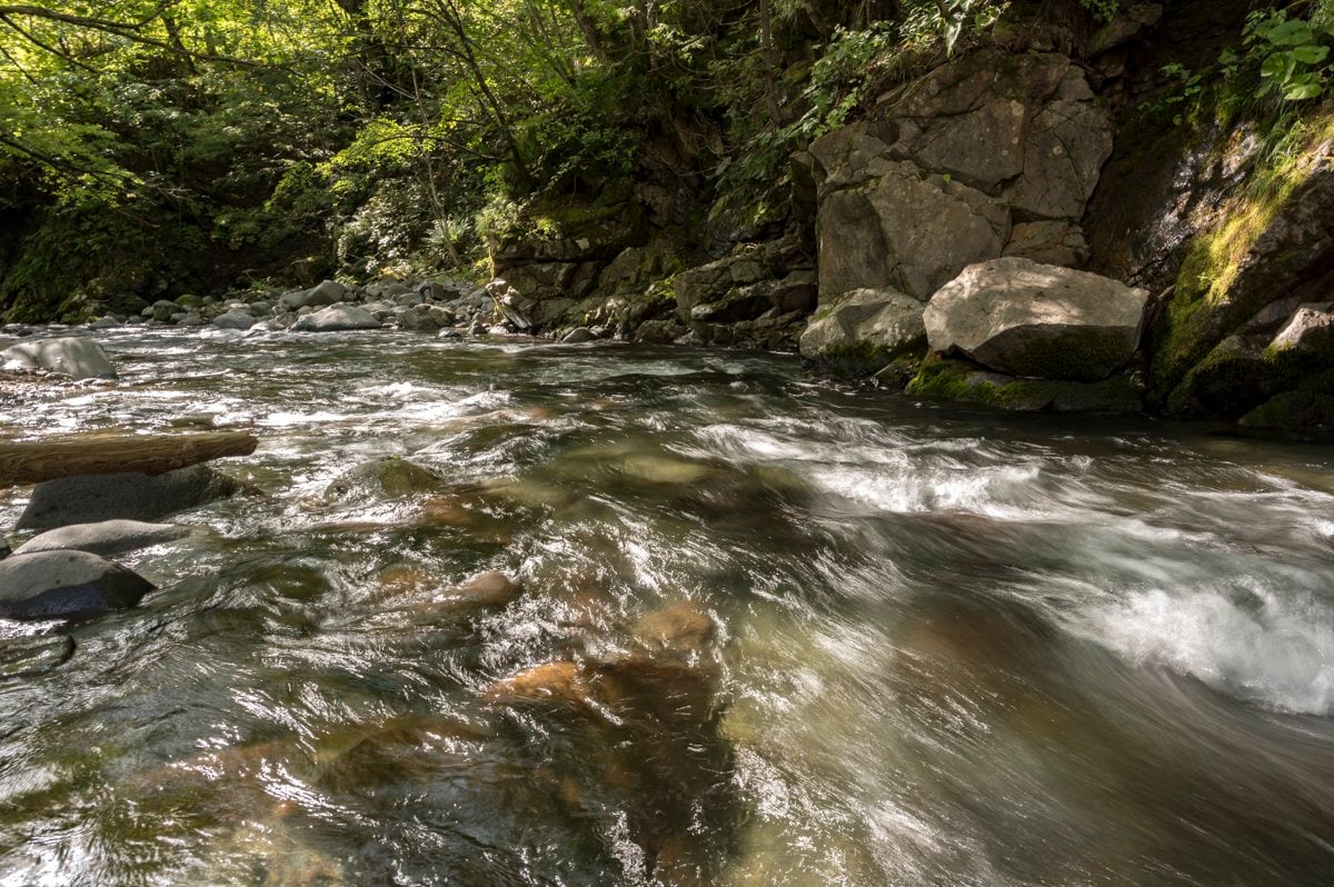 画像・写真：【渓流釣り】 秋の荒喰い！ それとも恋の季節！？ 「アマゴとイワナが共生する渓でフライフィッシング」 岐阜県・2024年9月【合計 ...