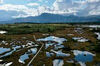 山は誰が守っていくのか？  従来の枠組みを超えた「未来型の登山道管理」へ【100年先までつなぐ、大雪山の自然と登山道 vol.3】