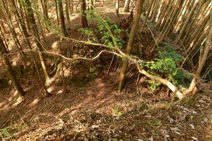 【NHK大河『豊臣兄弟！』ゆかりの城】ド肝抜く「主郭の大堀切」は、ほんの始まり…「土佐国・内田城〈前編〉」（高知県東洋町）【戦国の山城を攻める vol.11】