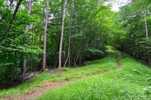 猛暑に行きたい避暑登山「小楢山」 標高1,526mの登山口から、爽快な高地山行！  暑さに根負け？  弱気なシニア女性のため計画＆実行！  結果とは