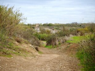 イタリア在住ライターがこっそり教えるローマ近郊の穴場散策スポット【ブーツの国の街角で vol.22「アーバン・トレッキング in ローマ2〜テヌータ・ディ・トールマランチャ〜」イタリア／ラツィオ州】