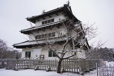 真作 代表作】 『 雪の弘前城 』AP 額装 橋本興家(裏サインあり) 橋本