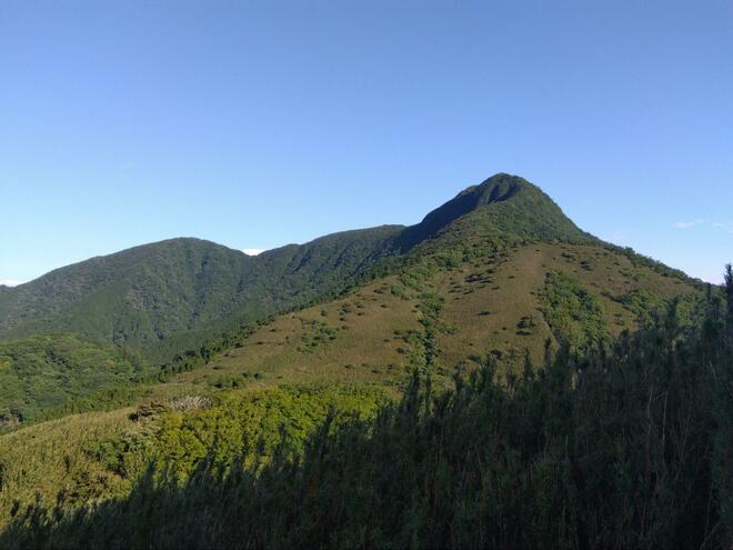 初夏の花と箱根の山々＆大涌谷の噴煙を望む「明神ヶ岳」 なだらかな稜線＆気持ちのいい山頂が魅力！【神奈川県箱根町】の画像006