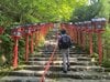鎌田 遼