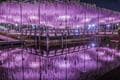 関東屈指「花の絶景スポット」2か所を1日でめぐる！  丘一面 “青の世界”「国営ひたち海浜公園」ネモフィラ＆ライトアップ「あしかがフラワーパーク」 藤の花の画像009