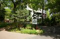 東京が青に染まる！ 23区内屈指の “ネモフィラ” 鑑賞スポット「日比谷公園」「舎人公園」【東京都・千代田区/足立区】の画像006