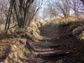 富士山見るための「特等席」！  標高1504mの静岡の百山・越前岳「往復4時間半」トレッキングレポートの画像003