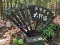 世界文化遺産登録20周年「熊野古道」記念イベントとあわせて行きたい！ 「大門坂・熊野那智大社・那智の滝」約3時間ハイキングレポの画像004