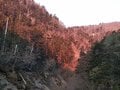 日本百名山「鳳凰山」憧れの大岩塔「オベリスク」を目指す登山！ 青木鉱泉コース「3つの滝で休憩OK」 南アルプス・テント泊チャレンジ＆絶景レポートの画像008