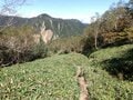 【9月の晴れ、どこに登る？】歩きごたえ抜群＆天空の五色沼「日光白根山」の画像015