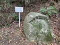 天下人・三好長慶の居城「飯盛城跡」で「絶景のハシゴ」を楽しめる＜歴史巡り里山ハイキング＞とは？【里山アドベンチャー！ソトアソ日和 vol.9】の画像004