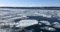 「冬しか見られない」絶景「ライトアップ流氷」の異次元光景！  北海道「女のひとり旅」網走・流氷観光船の実体験レポート