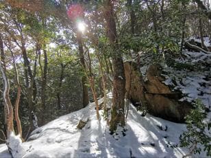 山頂に「古代遺跡ロマン」が眠る神秘の山・兵庫県大船山に「冬だからこそ登ってみた」結果とは？