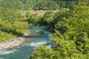 渓流釣り】滝上のパラダイス！ 「雪代のなかから飛び出す美形イワナ