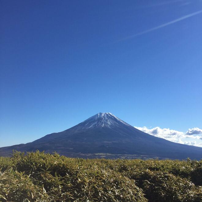 山頂の名物はズバリ「富士山」の大展望！  ため息が出るような絶景＆ランチで堪能したい「富士五湖」周辺の “一度は登っておきたい山” 3選！の画像001