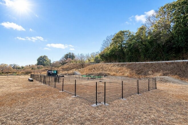 いよいよ見ごろ！ “春の目覚め”迎える「秋間梅林」での観梅体験！  2月28日から「食べ歩きチケット」販売開始＆幻想的「週末ナイトウォーク」も開催中【群馬県安中市】の画像022