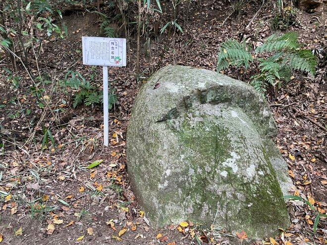 天下人・三好長慶の居城「飯盛城跡」で「絶景のハシゴ」を楽しめる＜歴史巡り里山ハイキング＞とは？【里山アドベンチャー！ソトアソ日和 vol.9】の画像004