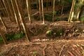 【NHK大河『豊臣兄弟！』ゆかりの城】見たこともない “逆Yの字” 竪堀に驚愕！「土佐国・内田城〈後編〉」（高知県東洋町）【戦国の山城を攻める vol.12】の画像009