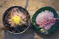 「なにを背負ってなにを置いてく？」無人地帯旅の「食糧計画例」お見せします【無人地帯の遊び方vol.6】の画像003